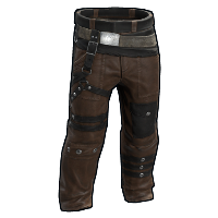 Buy Rust pants Caravanner Pants skin