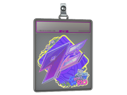 Buy CS2 charm Sticker Slab | 9z Team (Holo) | Rio 2022 skin