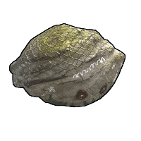 Buy Rust rock Best Friend skin