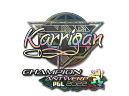 Buy CS2 sticker Sticker | karrigan (Holo, Champion) | Antwerp 2022 skin