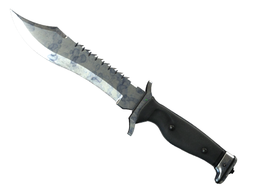 Buy CS2 knife ★ StatTrak™ Bowie Knife | Stained (Well-Worn) skin