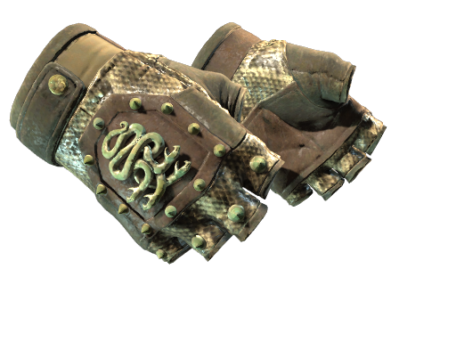 Buy CS2 gloves ★ Hydra Gloves | Rattler (Well-Worn) skin