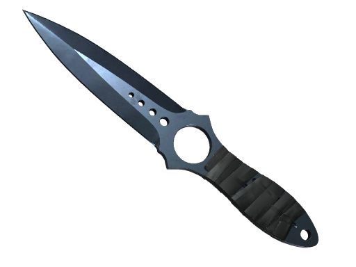 Buy CS2 knife ★ StatTrak™ Skeleton Knife | Blue Steel (Well-Worn) skin
