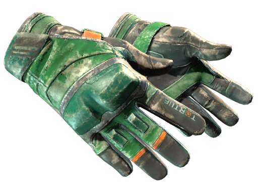 Buy CS2 gloves ★ Moto Gloves | Turtle (Battle-Scarred) skin