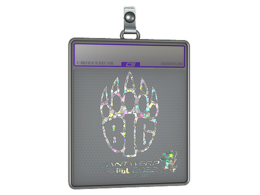 Buy CS2 charm Sticker Slab | BIG (Glitter) | Antwerp 2022 skin