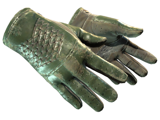 Buy CS2 gloves ★ Driver Gloves | Racing Green (Battle-Scarred) skin