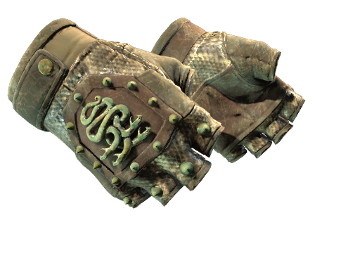 Buy CS2 gloves ★ Hydra Gloves | Rattler (Battle-Scarred) skin