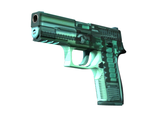 Buy CS2 pistol StatTrak™ P250 | X-Ray (Minimal Wear) skin