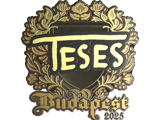 Buy CS2 sticker Sticker | TeSeS (Gold) | Budapest 2025 skin