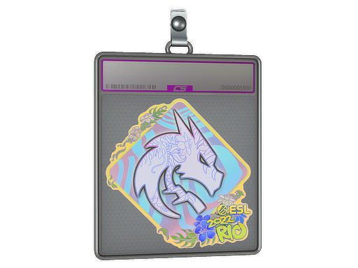 Buy CS2 charm Sticker Slab | Team Spirit (Holo) | Rio 2022 skin