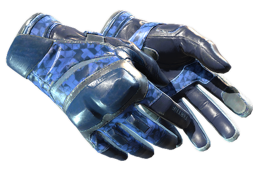 Buy CS2 gloves ★ Moto Gloves | Polygon (Well-Worn) skin