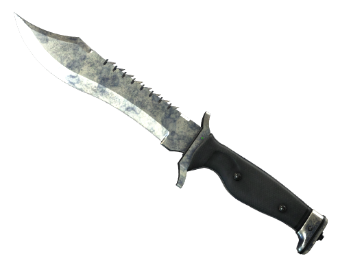 Buy CS2 knife ★ StatTrak™ Bowie Knife | Stained (Battle-Scarred) skin