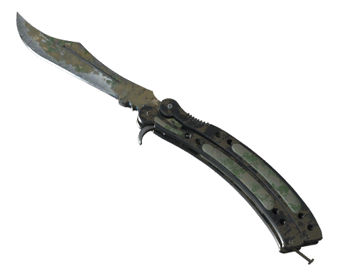 Buy CS2 knife ★ Butterfly Knife | Forest DDPAT (Battle-Scarred) skin
