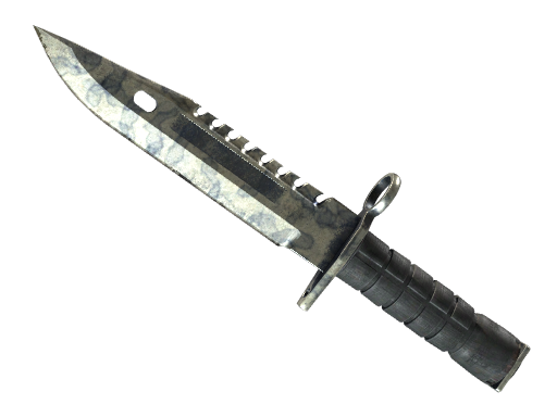 Buy CS2 knife ★ StatTrak™ M9 Bayonet | Stained (Battle-Scarred) skin