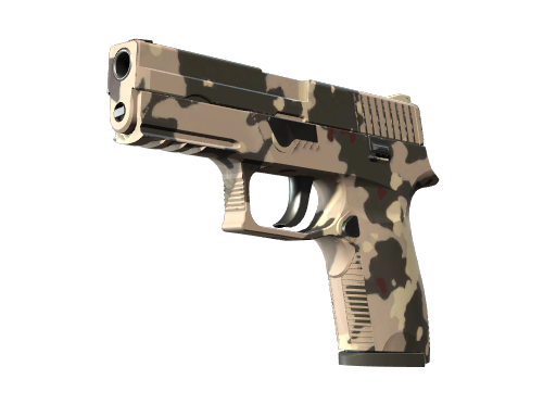 Buy CS2 pistol P250 | Black & Tan (Factory New) skin