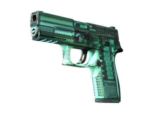 Buy CS2 pistol StatTrak™ P250 | X-Ray (Field-Tested) skin