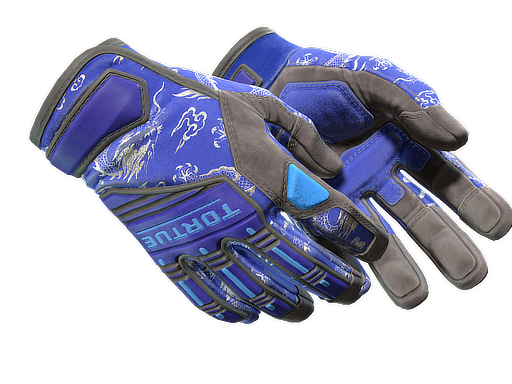 Buy CS2 gloves ★ Specialist Gloves | Cloud Chaser (Well-Worn) skin
