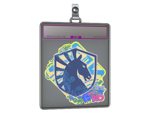 Buy CS2 charm Sticker Slab | Team Liquid (Holo) | Rio 2022 skin
