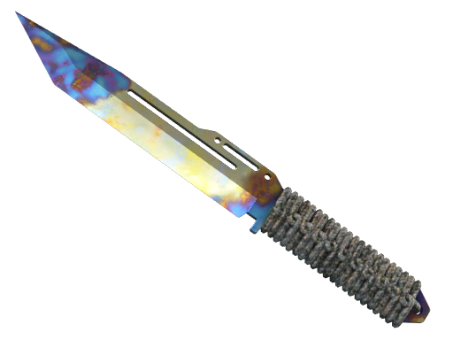 Buy CS2 knife ★ StatTrak™ Paracord Knife | Case Hardened (Factory New) skin
