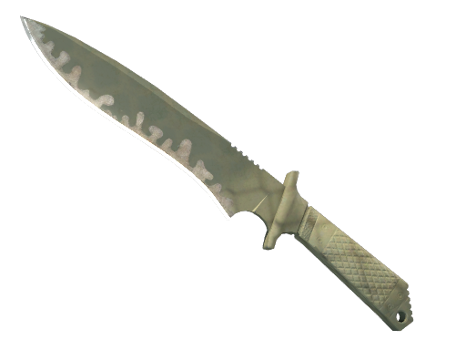 Buy CS2 knife ★ Classic Knife | Safari Mesh (Field-Tested) skin