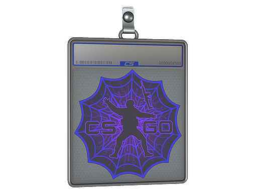 Buy CS2 charm Sticker Slab | Web Stuck skin