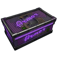 Buy Rust misc Neon Armor Storage skin