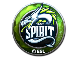 Buy CS2 sticker Sticker | Team Spirit (Foil) | Katowice 2019 skin