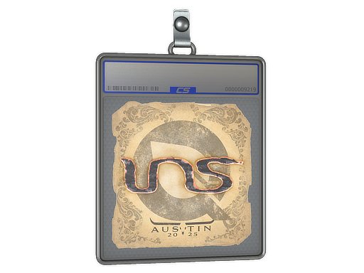 Buy CS2 charm Sticker Slab | INS | Austin 2025 skin