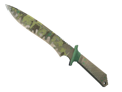 Buy CS2 knife ★ Classic Knife | Boreal Forest (Battle-Scarred) skin