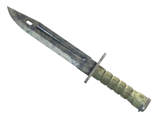 Buy CS2 knife ★ StatTrak™ Bayonet | Stained (Field-Tested) skin