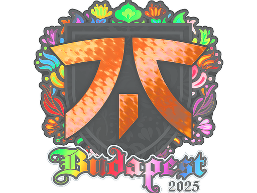 Buy CS2 sticker Sticker | fnatic (Holo) | Budapest 2025 skin