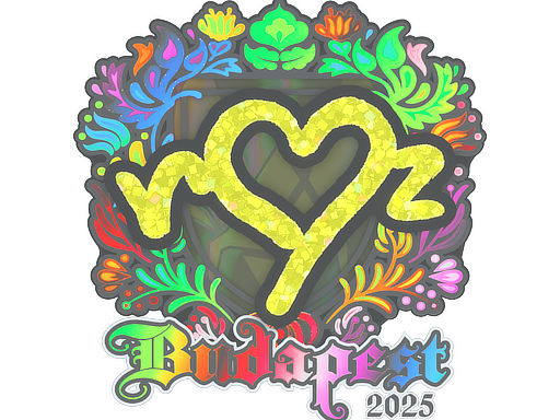 Buy CS2 sticker Sticker | ropz (Holo) | Budapest 2025 skin