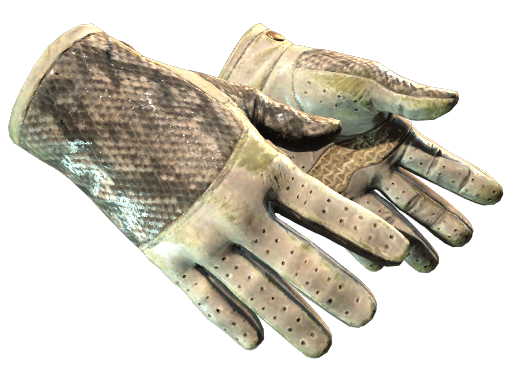 Buy CS2 gloves ★ Driver Gloves | King Snake (Battle-Scarred) skin