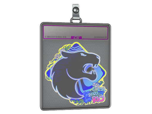 Buy CS2 charm Sticker Slab | FURIA (Holo) | Rio 2022 skin