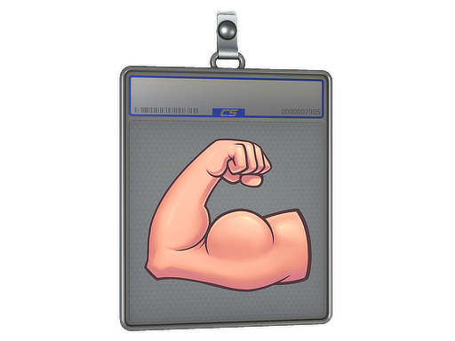 Buy CS2 charm Sticker Slab | Flex skin