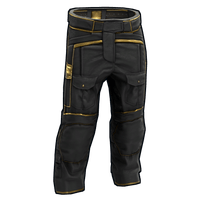Buy Rust clothing Black Gold Pants skin