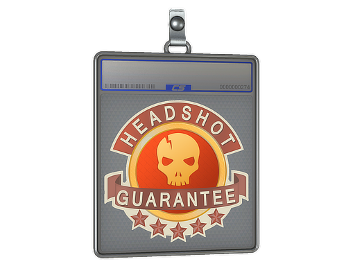Buy CS2 charm Sticker Slab | Headshot Guarantee skin