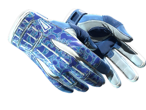 Buy CS2 gloves ★ Sport Gloves | Amphibious (Factory New) skin