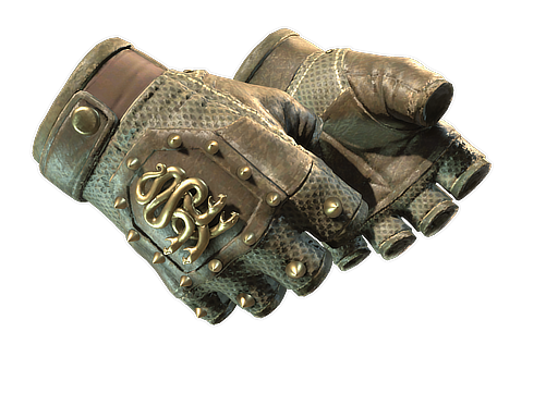 Buy CS2 gloves ★ Hydra Gloves | Mangrove (Field-Tested) skin