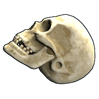 Buy Rust rock Skull skin