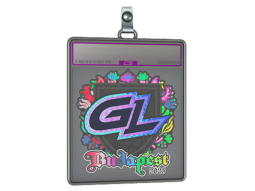 Buy CS2 charm Sticker Slab | GamerLegion (Holo) | Budapest 2025 skin
