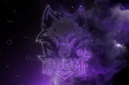 Buy Dota 2 loading screen International 2025 Team Loading Screen - BOOM Esports skin