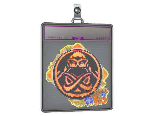 Buy CS2 charm Sticker Slab | ENCE (Holo) | Rio 2022 skin