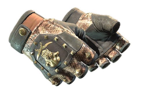 Buy CS2 gloves ★ Bloodhound Gloves | Snakebite (Well-Worn) skin