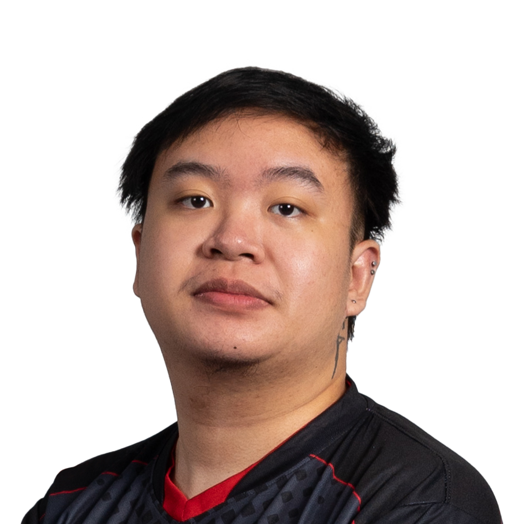Buy Dota 2  skem Player Sticker - TI 2022 skin