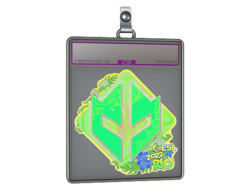 Buy CS2 charm Sticker Slab | Imperial Esports (Holo) | Rio 2022 skin