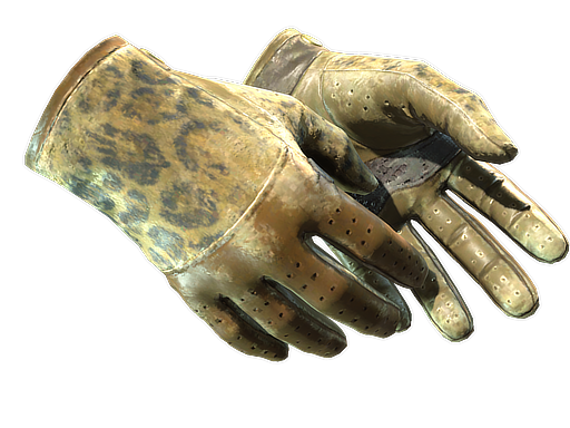 Buy CS2 gloves ★ Driver Gloves | Queen Jaguar (Battle-Scarred) skin
