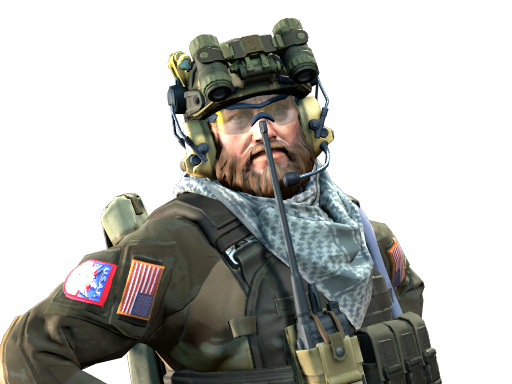 Buy CS2 agent 'Two Times' McCoy | USAF TACP skin
