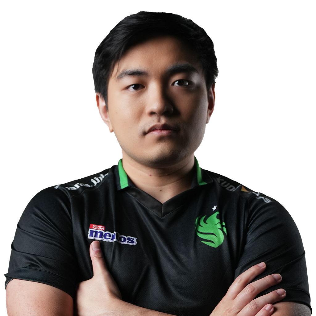 Buy Dota 2  Sneyking Player Sticker - TI 2024 skin