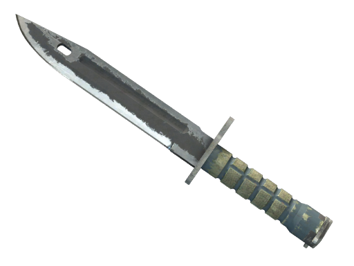 Buy CS2 knife ★ StatTrak™ Bayonet | Night (Battle-Scarred) skin